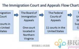 重磅！美国高拒绝率的正在庇护案法官将决定上诉委员会（BIA）政庇的申请!