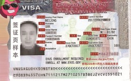 美国签证类型详解